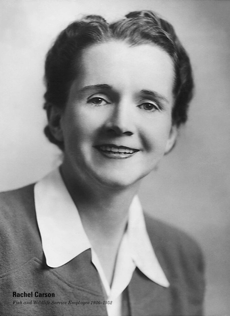 Rachel Carson – Conservation History