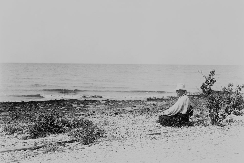 Theodore Roosevelt at Breton Island Bird Reservation