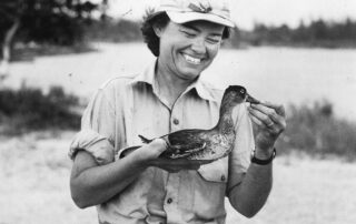 Biologist Elizabeth Losey at Seney Refuge (1947). Credit USFWS Archives