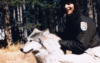 USFWS Director Mollie Beattie with wolf (1995). Credit USFWS Archives